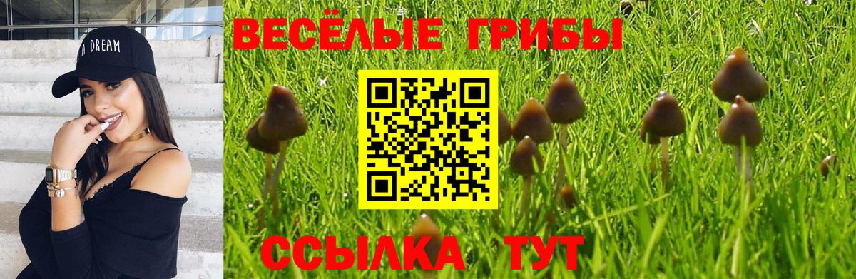 Михайловка  Галлюциногенные грибы Psilocybe  Вход с VPN  Галлюциногенные грибы Magic Shrooms 